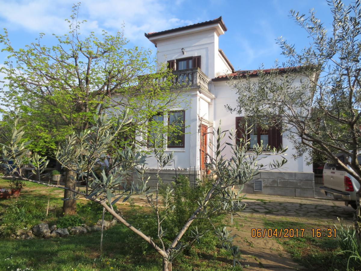 Apartments Vila Marija إيزولا المظهر الخارجي الصورة